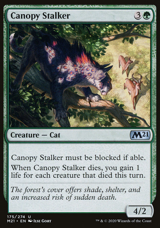【JPN】《樹冠伏貓/Canopy Stalker》[核心系列2021]