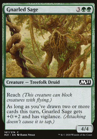 【JPN】《糙節智者/Gnarled Sage》[核心系列2021]