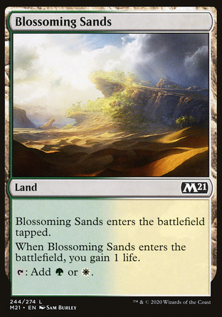 【JPN】《繁花沙洲/Blossoming Sands》[核心系列2021]