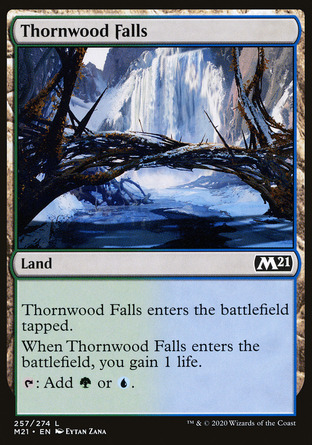 【JPN】《棘林瀑布/Thornwood Falls》[核心系列2021]