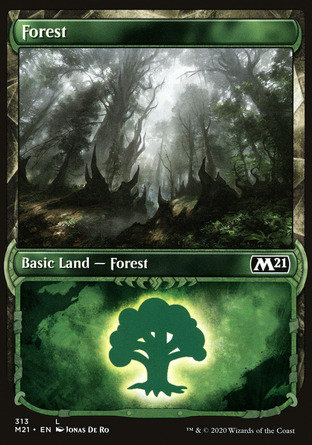 【JPN】《樹林/Forest》[核心系列2021]