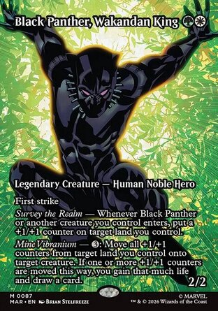 【ENG】《瓦干達之王黑豹/Black Panther, Wakandan King》[漫威宇宙]