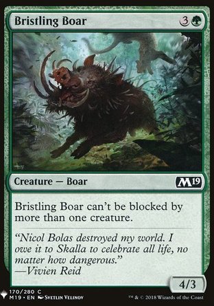 【ENG】《鬃毛野豬/Bristling Boar》[神秘補充包]