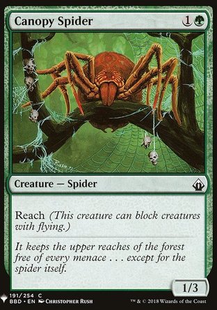 【ENG】《林冠蜘蛛/Canopy Spider》[神秘補充包]