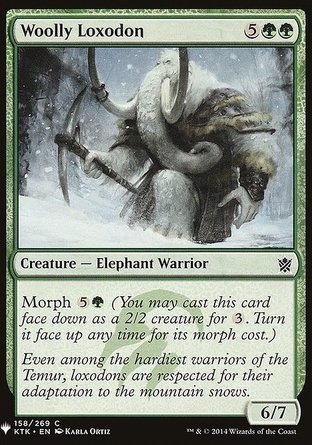 【ENG】《粗茸象族/Woolly Loxodon》[神秘補充包]