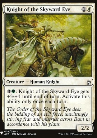 【ENG】《尊天騎士/Knight of the Skyward Eye》[神秘補充包]