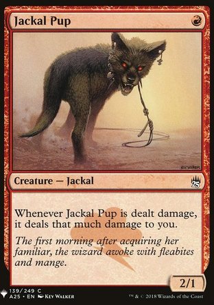 【ENG】《小狐狼/Jackal Pup》[神秘補充包]