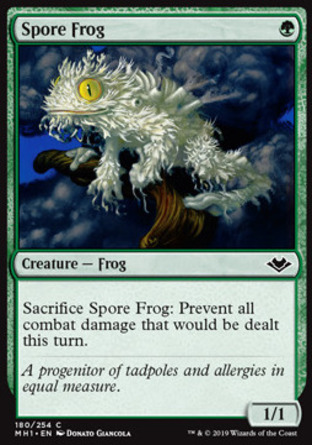 【JPN】《芽胞蛙/Spore Frog》[近代新篇]