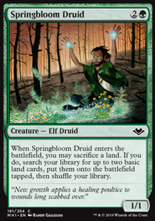 【JPN】《春華德魯伊/Springbloom Druid》[近代新篇]