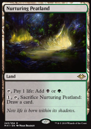【JPN】《生機泥地/Nurturing Peatland》[近代新篇]