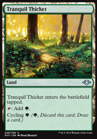 【JPN】《靜謐灌叢/Tranquil Thicket》[近代新篇]