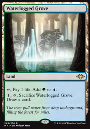 【JPN】《漫水林地/Waterlogged Grove》[近代新篇]