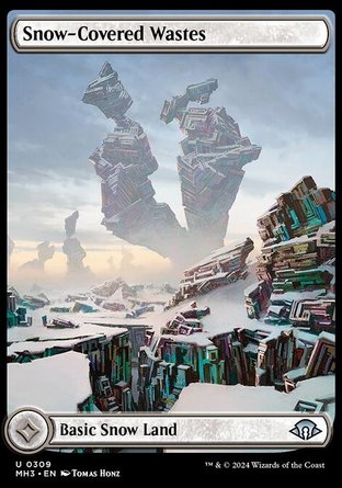 【ENG】《覆雪荒野/Snow-Covered Wastes》[近代新篇三]