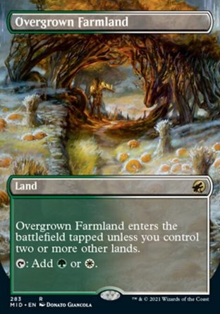 【JPN】《蔓生農地/Overgrown Farmland》[依尼翠：黯夜獵蹤]