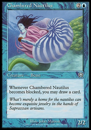 【JPN】《鸚鸝螺/Chambered Nautilus》[瑪凱迪亞]