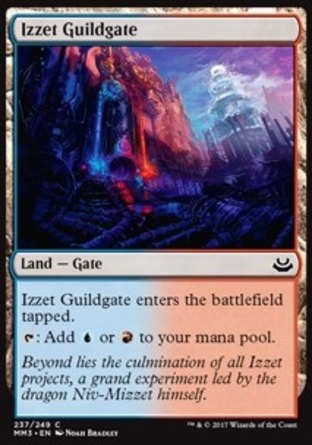 【JPN】《伊捷公會門/Izzet Guildgate》[近代大師2017版]
