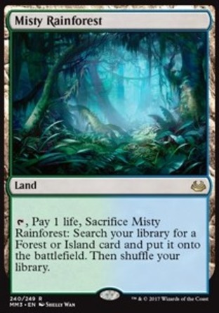 【JPN】《霧漫雨林/Misty Rainforest》[近代大師2017版]