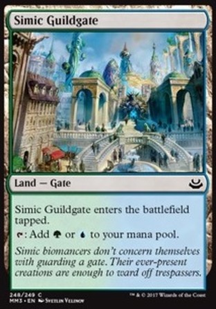 【JPN】《析米克公會門/Simic Guildgate》[近代大師2017版]