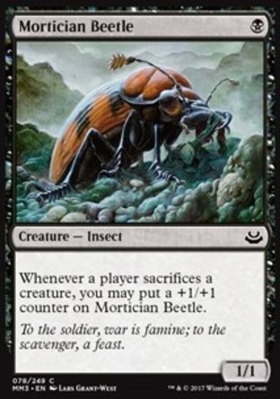 【JPN】《殯葬甲蟲/Mortician Beetle》[近代大師2017版]