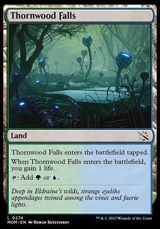 【ENG】《棘林瀑布/Thornwood Falls》[邪軍壓境]