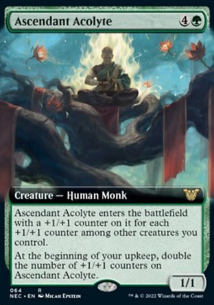 【JPN】《入聖侍僧/Ascendant Acolyte》[霓朝紀指揮官]