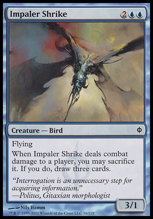 【JPN】《穿啄鳥/Impaler Shrike》[新非瑞克西亞]
