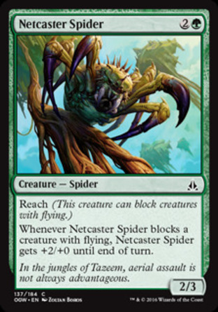 【JPN】《撒網蜘蛛/Netcaster Spider》[守護者誓約]