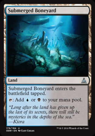 【JPN】《水下聚骨場/Submerged Boneyard》[守護者誓約]