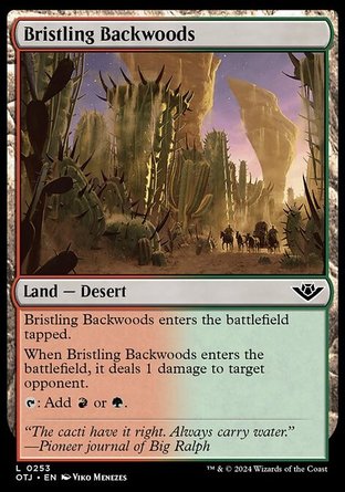 【ENG】《棘刺僻林/Bristling Backwoods》[光雷驛鏢客]