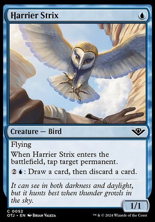 【ENG】《飛掠鷂梟/Harrier Strix》[光雷驛鏢客]