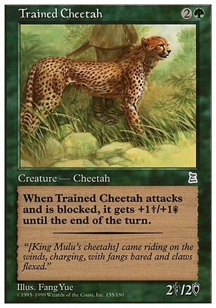 【ENG】《馴使的獵豹/Trained Cheetah》[入門版三國志]