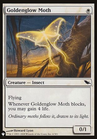 【ENG】《澄閃蛾/Goldenglow Moth》[The List]