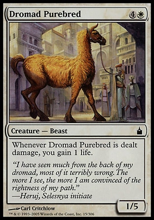 【JPN】《純種卓馬/Dromad Purebred》[拉尼卡公會城]