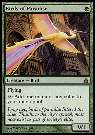 【JPN】《天堂鳥/Birds of Paradise》[拉尼卡公會城]