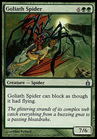 【JPN】《巨碩蜘蛛/Goliath Spider》[拉尼卡公會城]