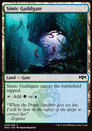 【JPN】《析米克公會門/Simic Guildgate》[效忠拉尼卡]