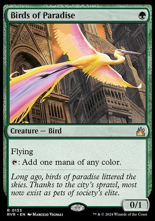 【ENG】《天堂鳥/Birds of Paradise》[拉尼卡：重製版]