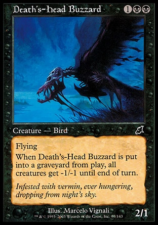 【ENG】《骷髏頭兀鷹/Death's-Head Buzzard》[劫運降臨]