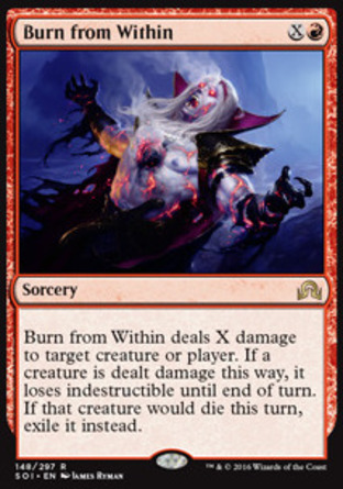 【JPN】《內火自燃/Burn from Within》[依尼翠闇影]
