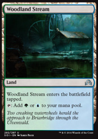 【JPN】《林地溪流/Woodland Stream》[依尼翠闇影]
