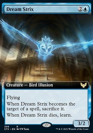 【ENG】《眠夢梟/Dream Strix》[斯翠海文：魔法學校]