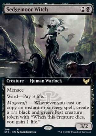 【JPN】《蓑草原巫師/Sedgemoor Witch》[斯翠海文：魔法學校]