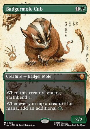 【ENG】《獾地鼠幼獸/Badgermole Cub》[降世神通：最後的氣宗]