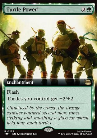 【ENG】《神龜力量！/Turtle Power!》[忍者龜]