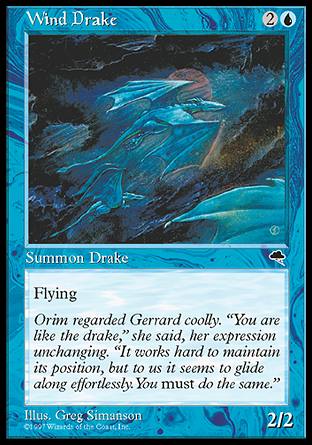 【ENG】《風龍獸/Wind Drake》[暴風雨]