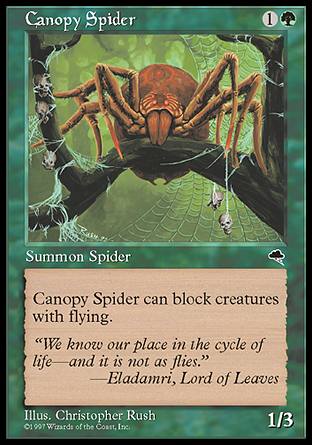 【ENG】《林冠蜘蛛/Canopy Spider》[暴風雨]