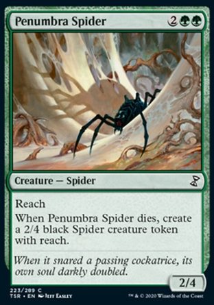 【ENG】《罔兩蜘蛛/Penumbra Spider》[時間漩渦：重製版]