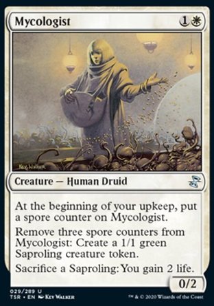 【ENG】《真菌學者/Mycologist》[時間漩渦：重製版]