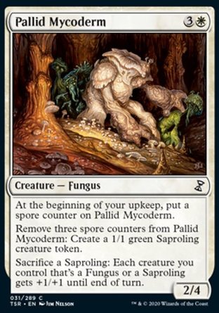 【ENG】《蒼白菌衣/Pallid Mycoderm》[時間漩渦：重製版]