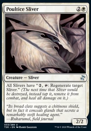 【ENG】《糊藥裂片妖/Poultice Sliver》[時間漩渦：重製版]